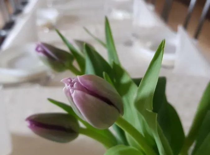 Gasthof Pod Baranami